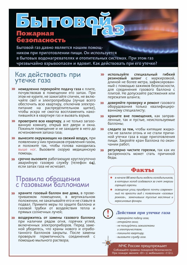 bytovoj gaz-20170131
