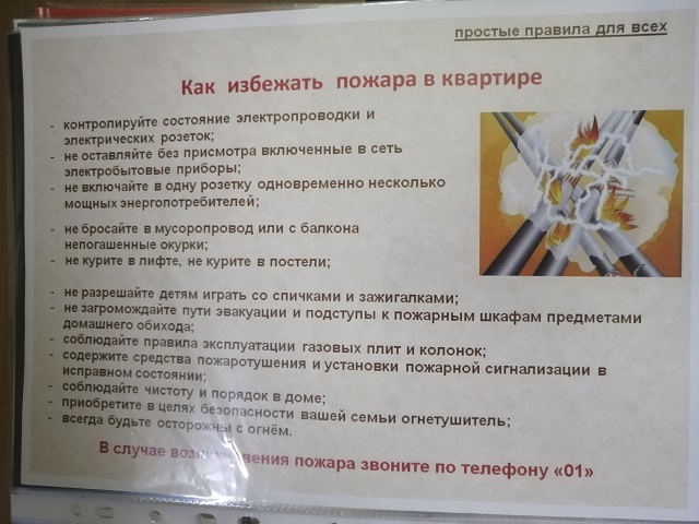 IMG 20241111 143945