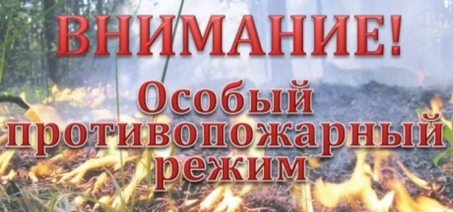 pam 290425 05